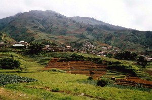 Dieng Plateau, Java, Indonesia